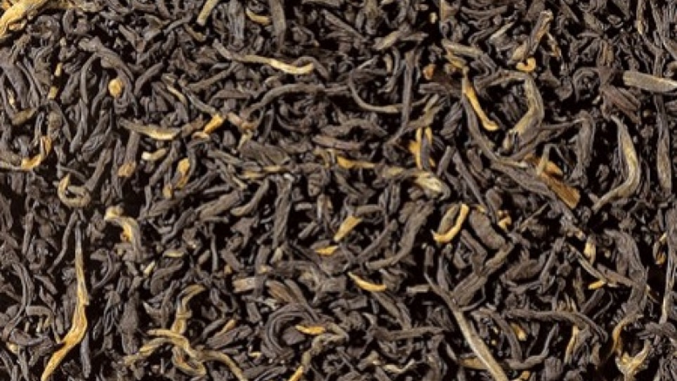 Black tea tasting from Yunnan