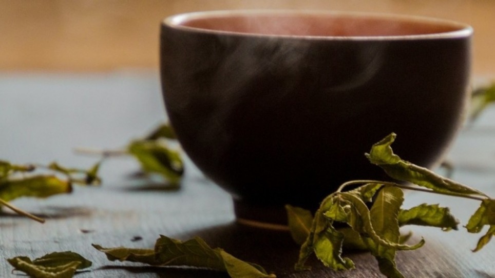 Tè verde - Chiacchiere con tè